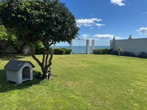 Mimosas House מארבלה